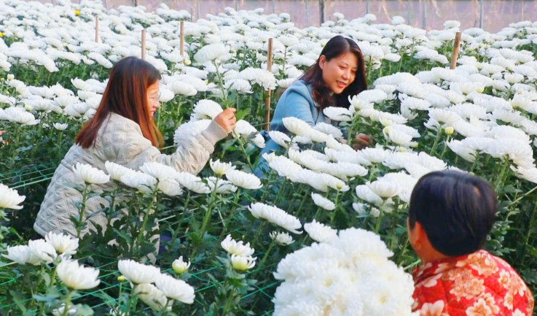 �F�ǅ^(q��)���ջ������M�ء���