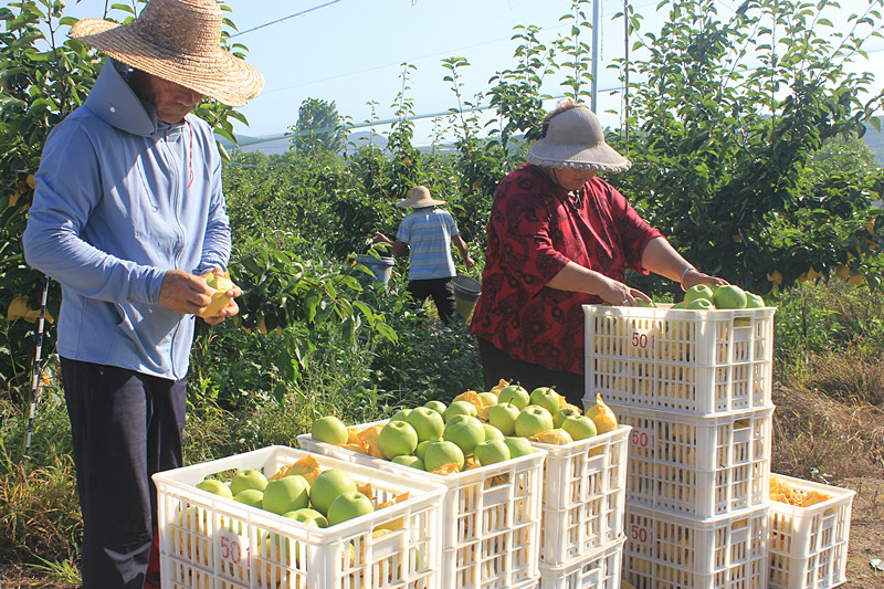 ��ó������Ѕ^(q��)ǰ�����@�����@������������