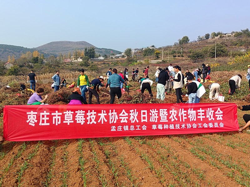 ���Ѕ^(q��)��ݮ�Nֲ���g�f(xi��)���_չ��Ȥζ�ڼt�� �����l(xi��ng)�����d�����