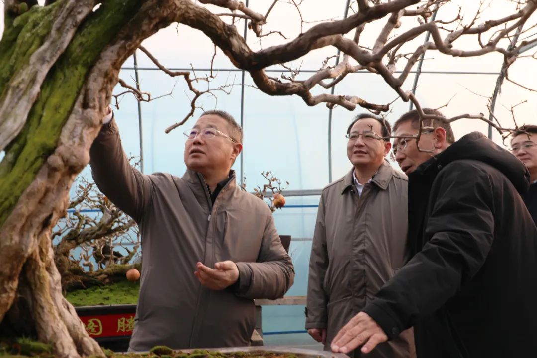 ���f��ί����ӛ������ί��ӛ�����ށ�F�ǅ^(q��)�{(di��o)��ʯ��a(ch��n)�I(y��)�l(f��)չ����